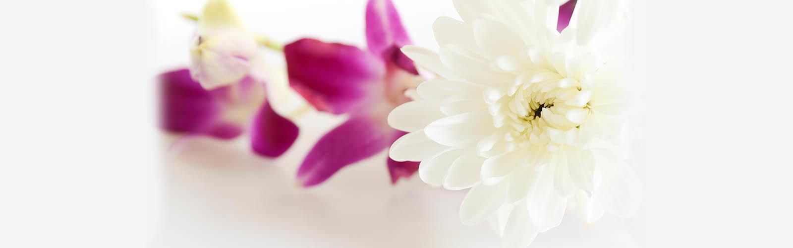 1600x500 What Kind of Flowers Should I Buy for a Funeral?