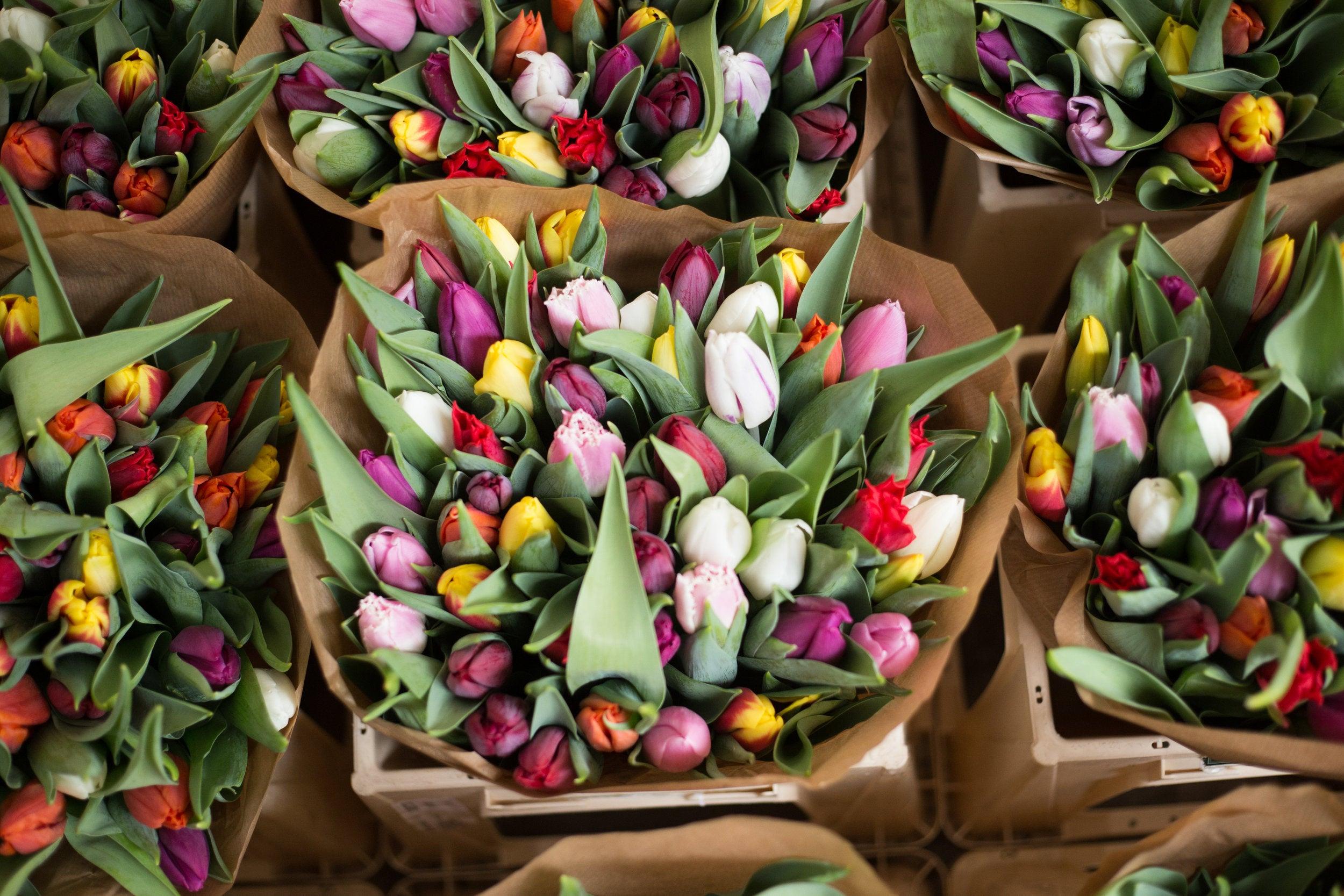 2500x1667 Funeral flowers and their true meaning