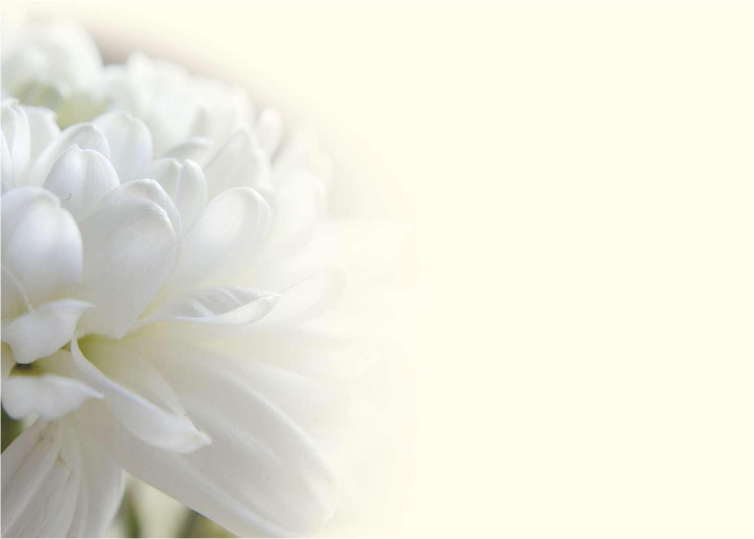 1490x1064 Sympathy Cards