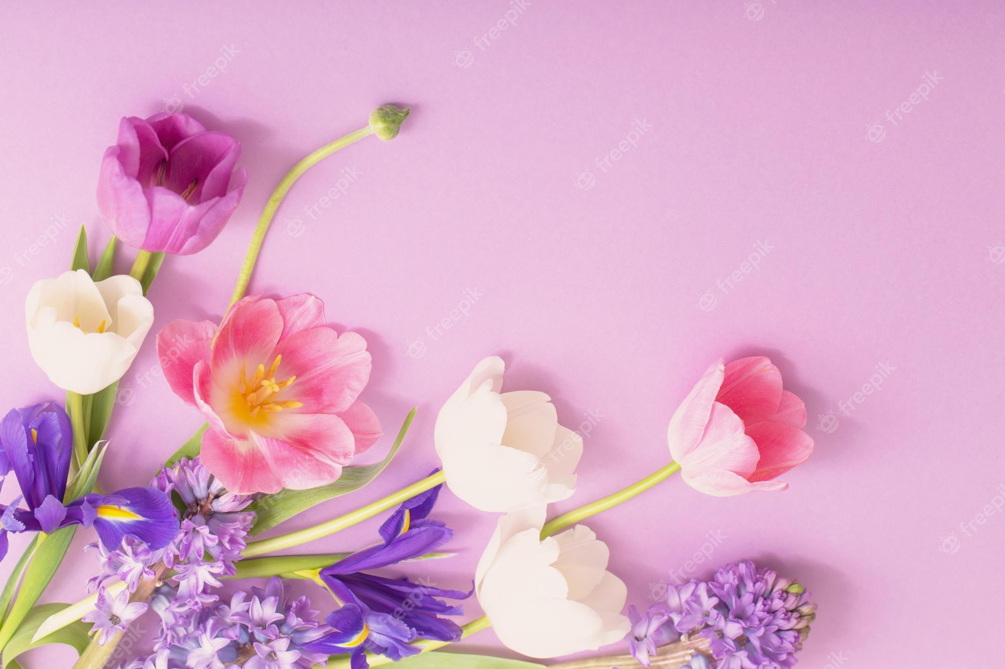 2000x1333 Premium Photo. Beautiful flowers on paper background