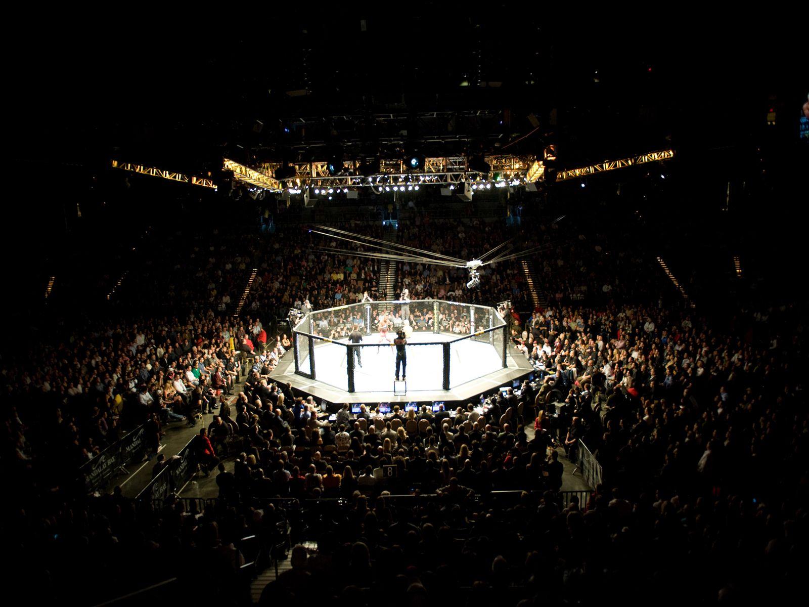 1600x1200 UFC Octagon Wallpaper