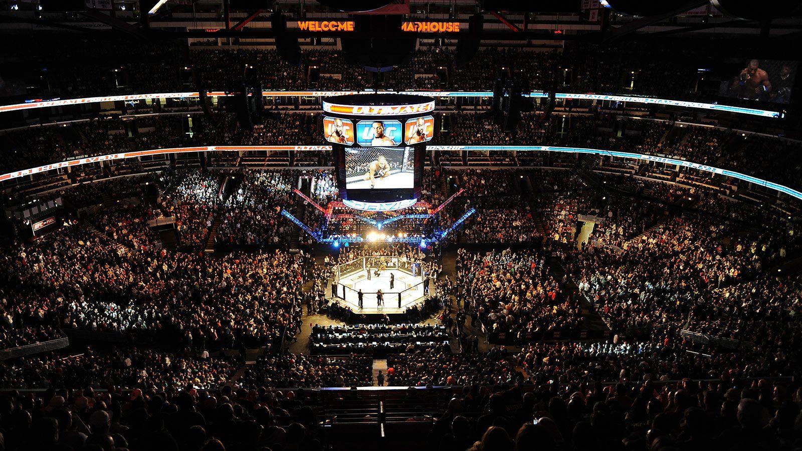 1600x900 UFC Cage Wallpaper