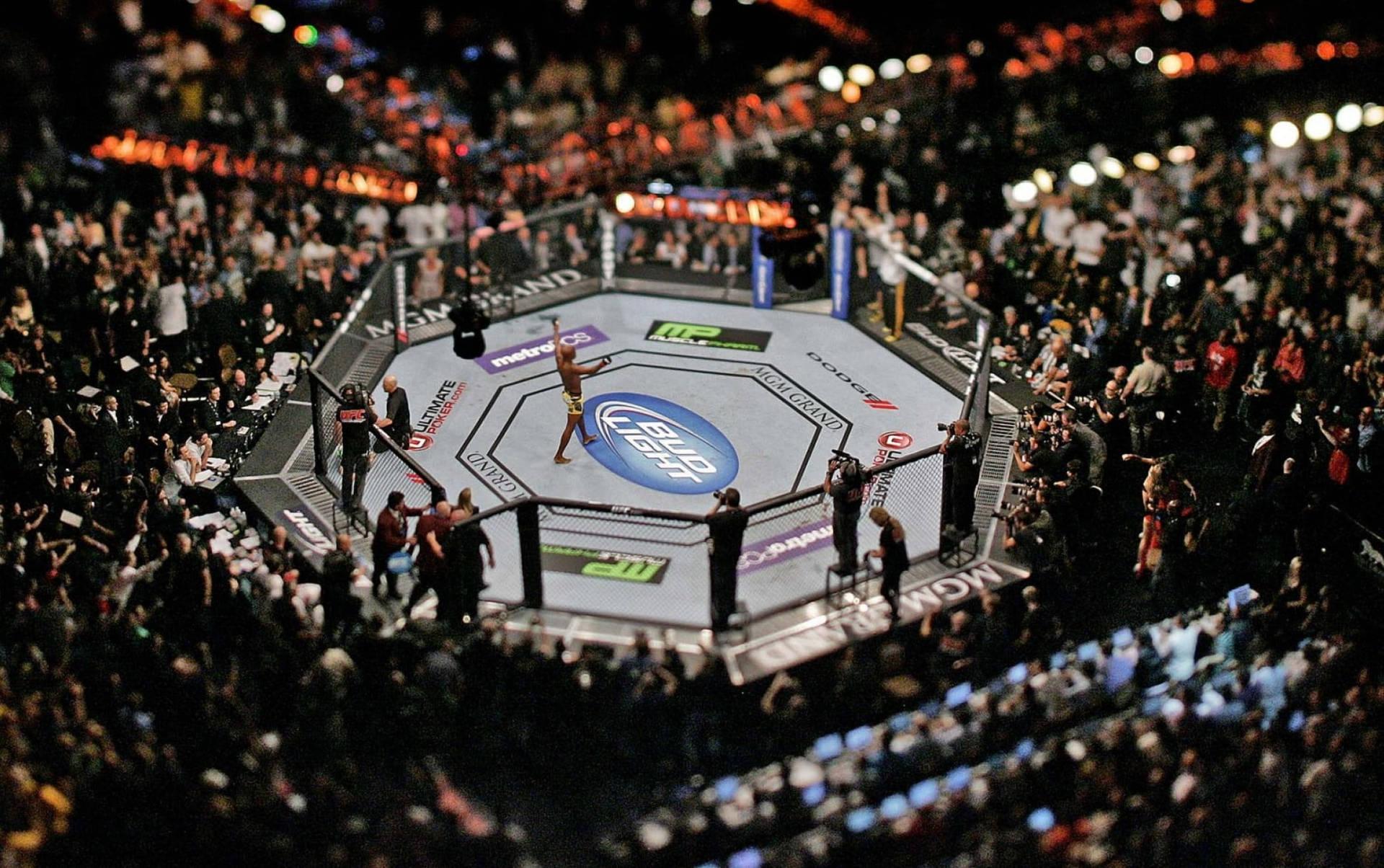 1920x1204 Download Anderson Silva Overhead Octagon Wallpaper