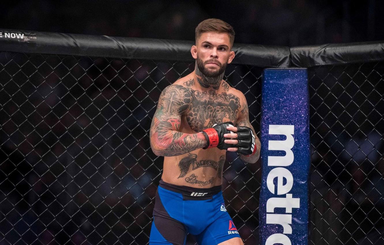 1332x850 Wallpaper American, UFC, Tattoo, Fighter, Octagon, Cody Garbrandt image for desktop, section спорт