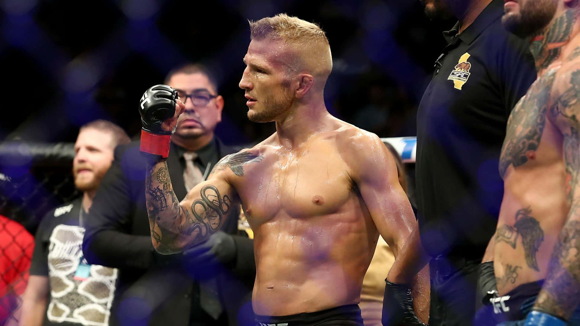 1920x1080 Download Tj Dillashaw In Ufc Octagon Wallpaper