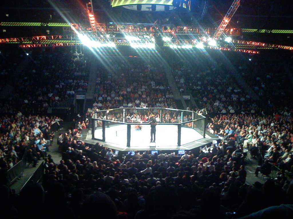 1024x768 Fabricio Werdum, new interim UFC Heavyweight Champion