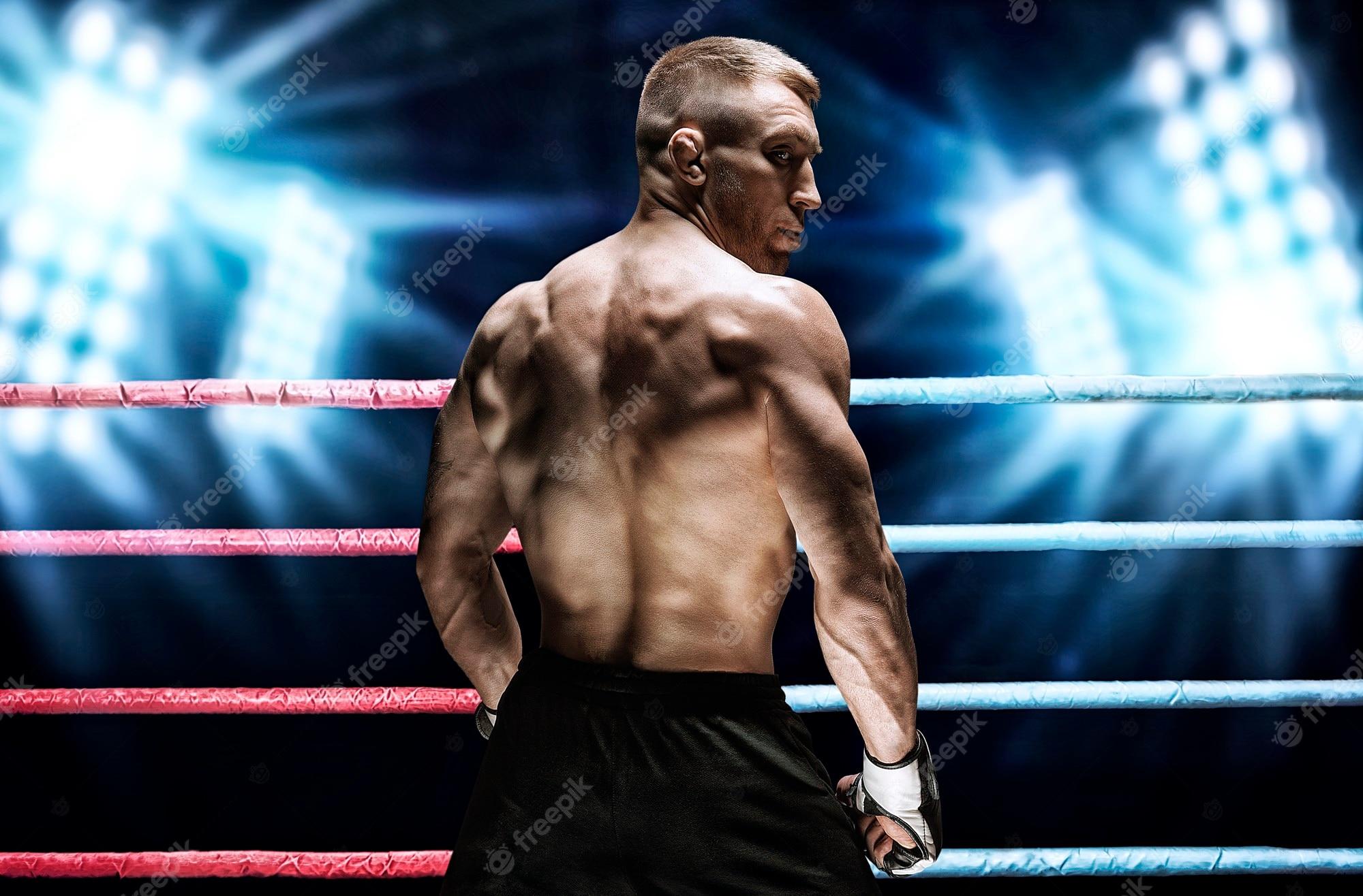 2000x1316 Mma Octagon Image