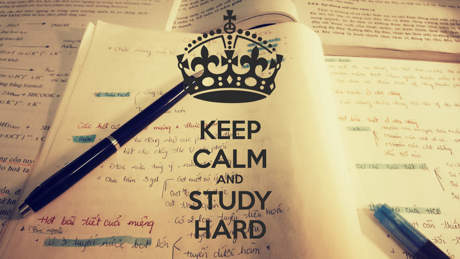 keep calm and study for exams wallpaper