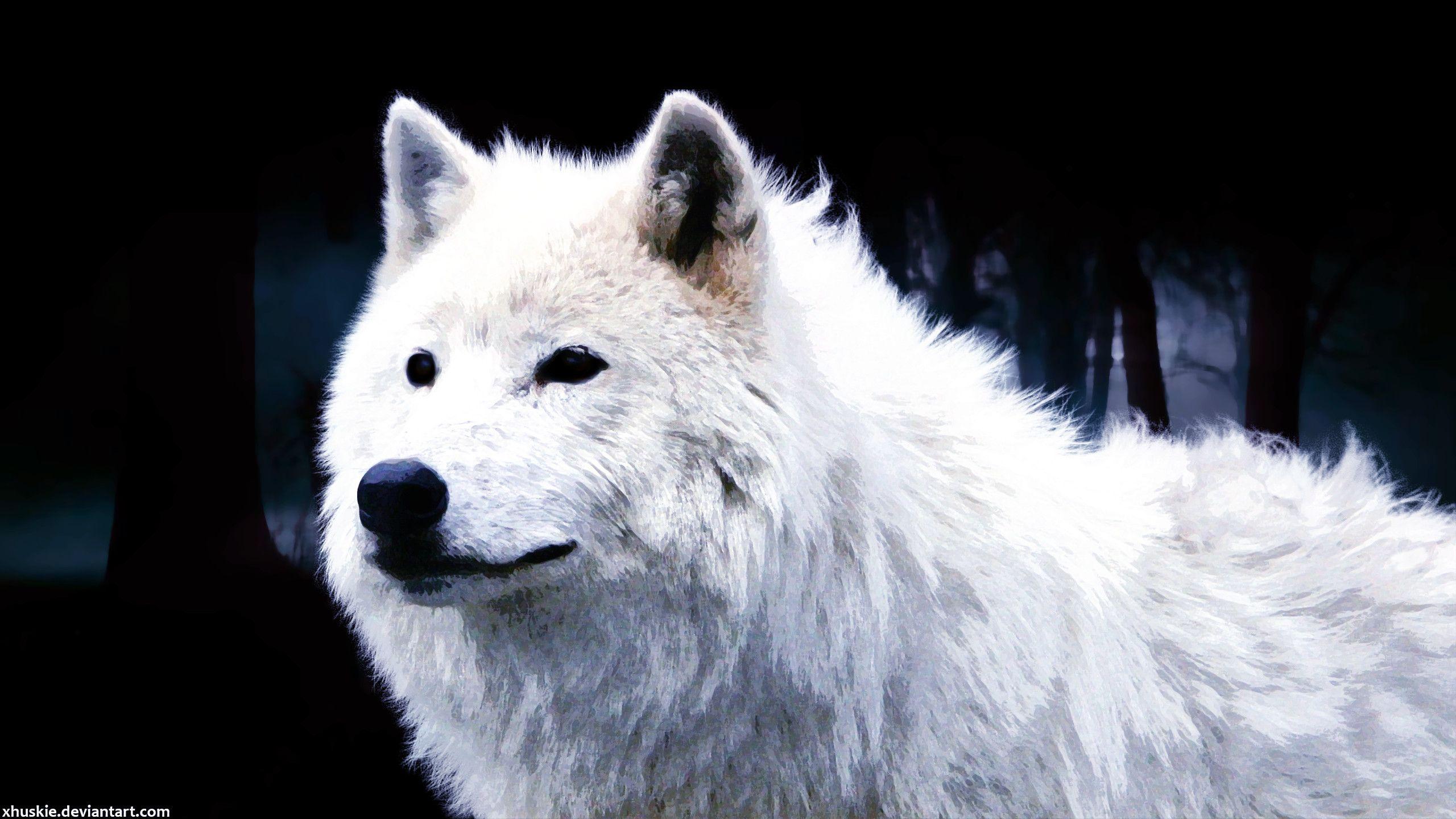 White Wolf iPhone Wallpapers - Top Free White Wolf iPhone Backgrounds