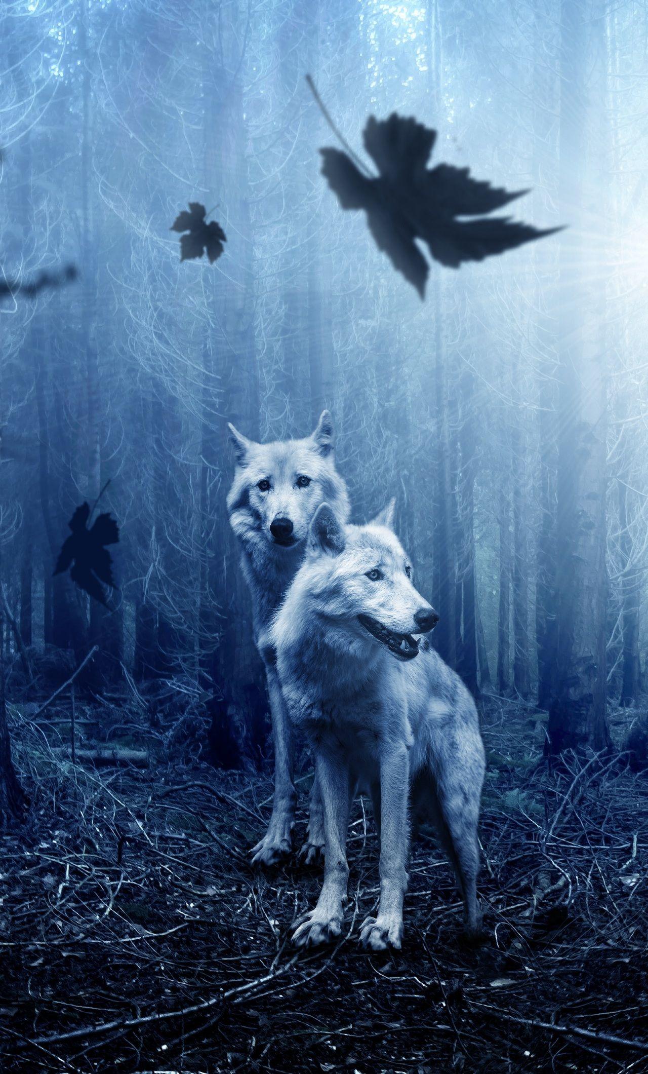 Wolf Hd Wallpaper For Mobile