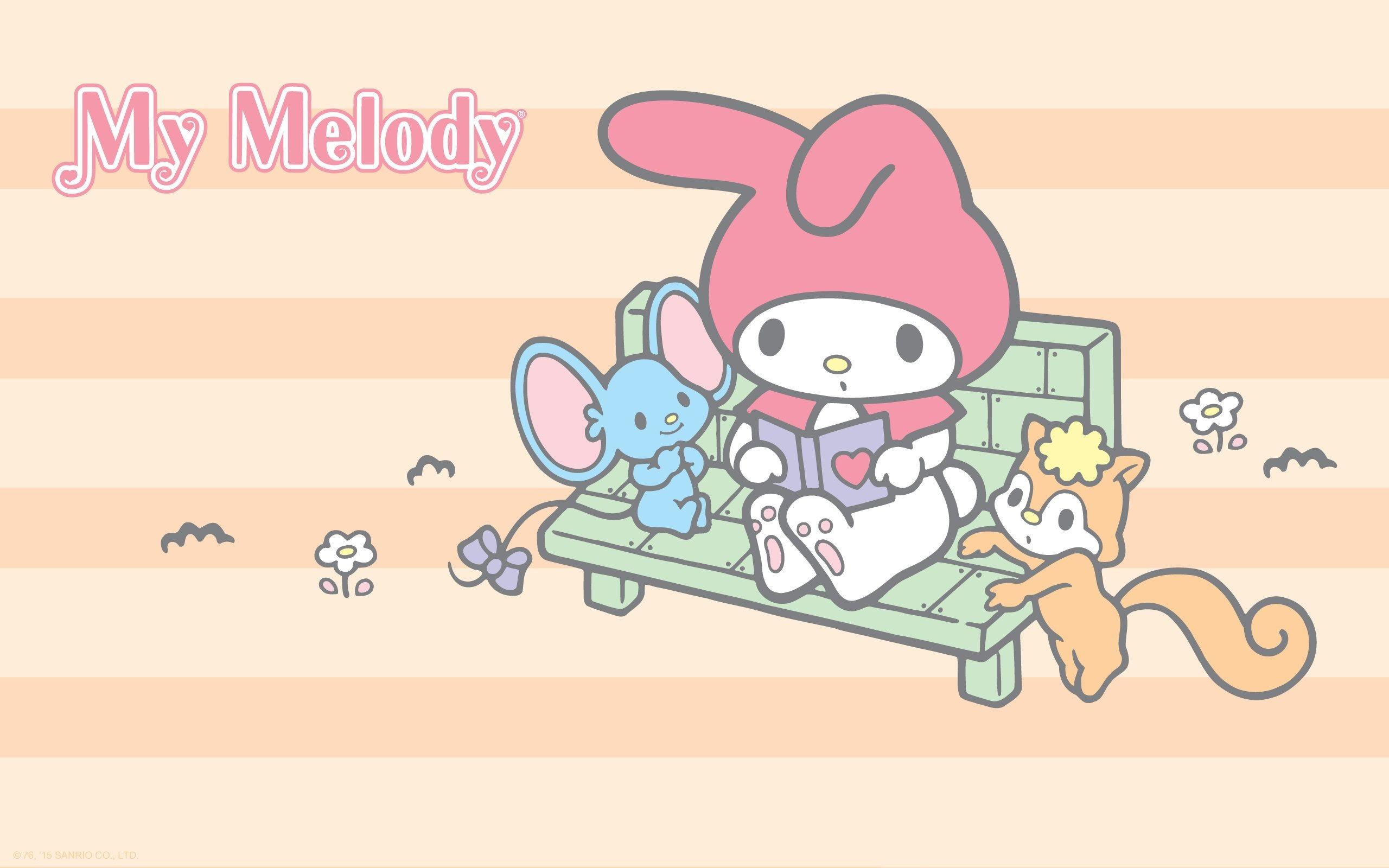 2560x1600 My Melody HD Wallpaper