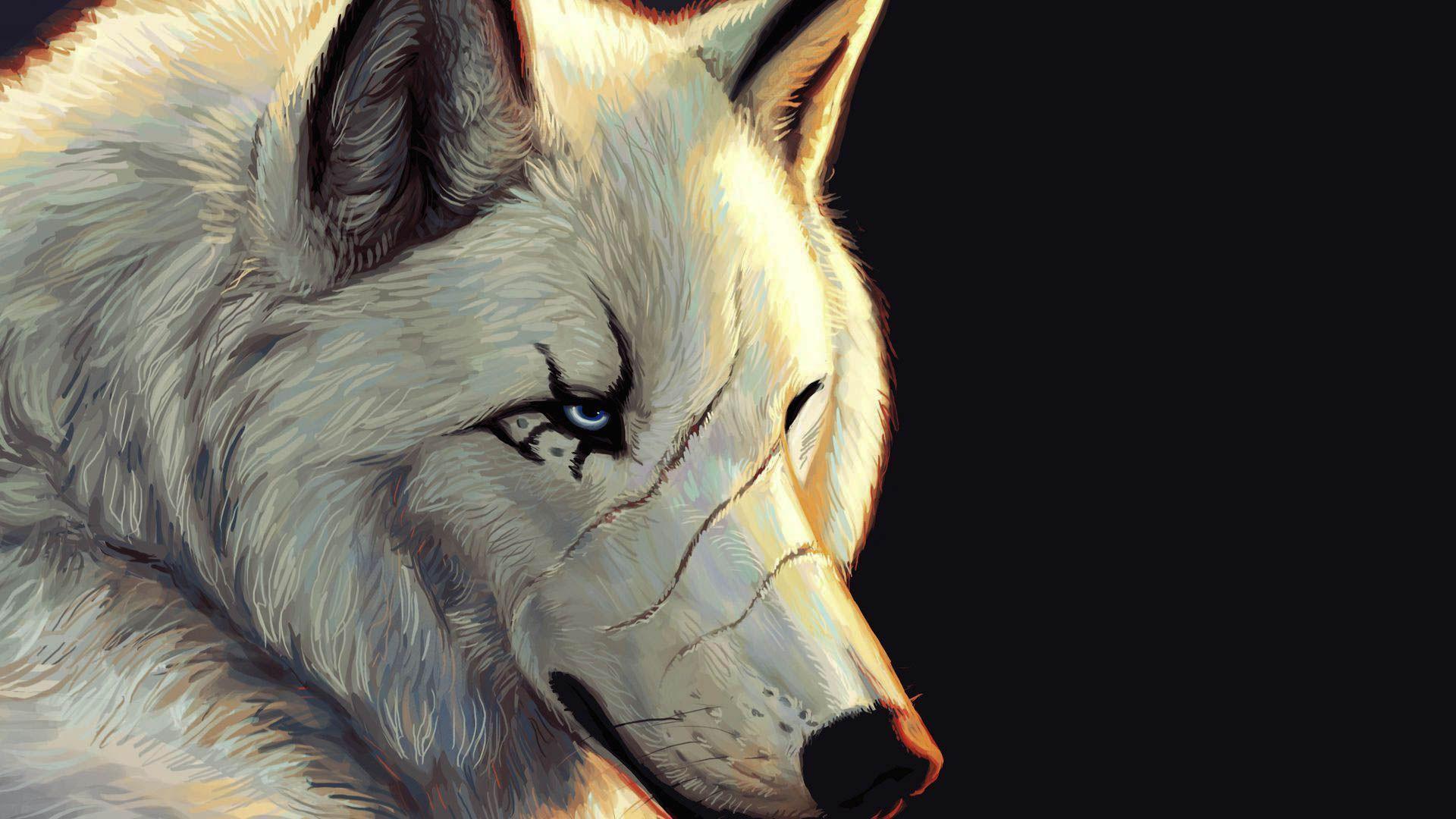 White Wolf iPhone Wallpapers - Top Free White Wolf iPhone Backgrounds