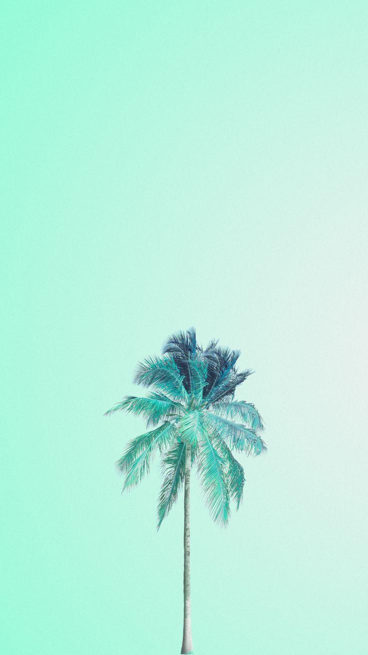 736x1308 Mint Blue Wallpaper. (60++ Wallpaper)