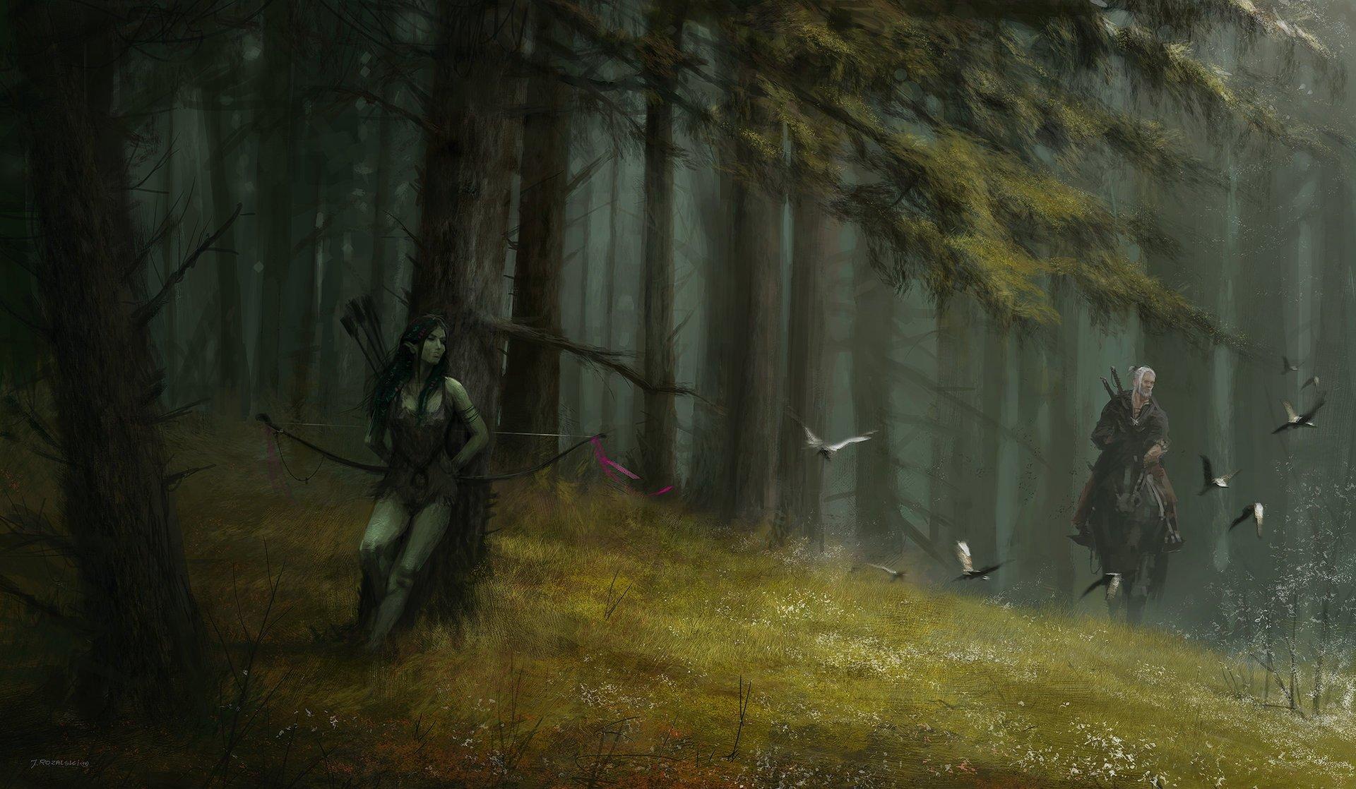 1920x1118 The Witcher HD Wallpaper