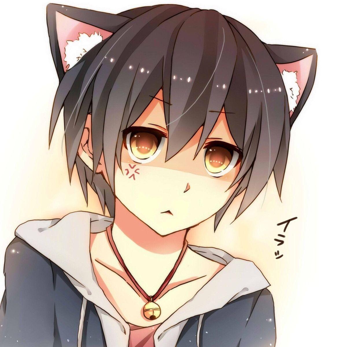 1200x1200 Cute Anime Cat Boy Wallpaper