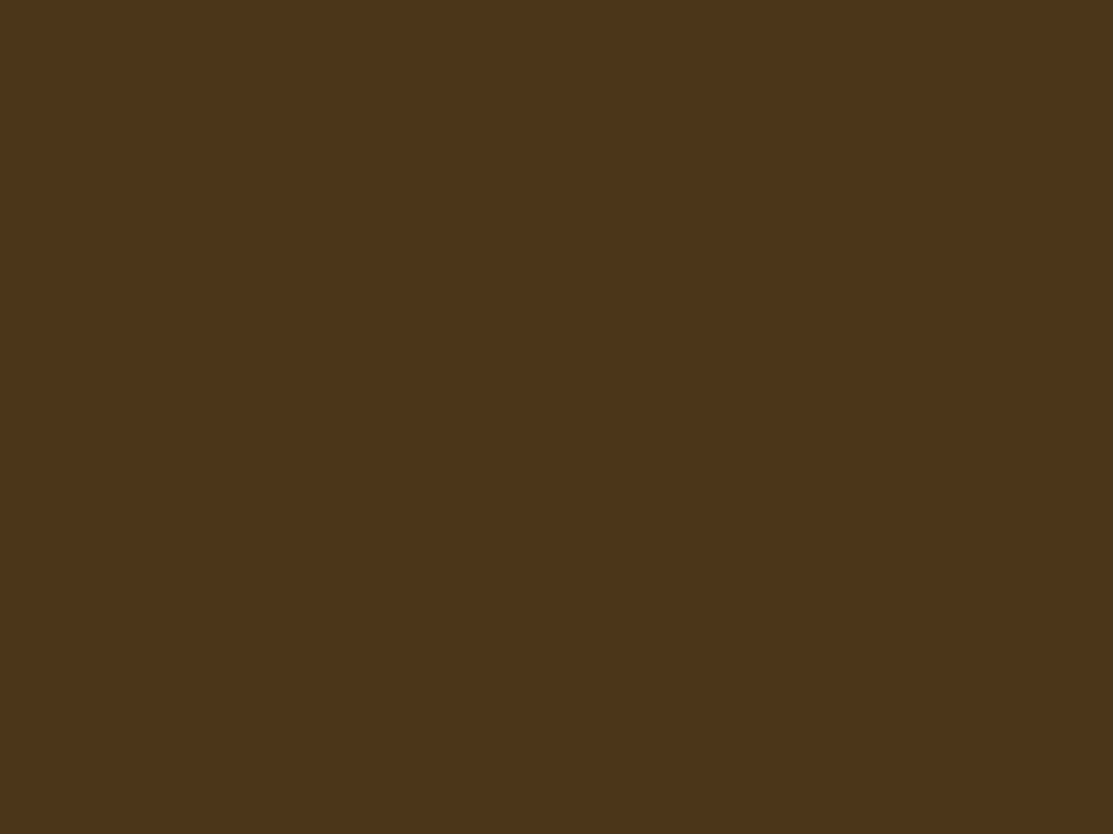 1024x768 Coffee Brown ( b3619 ) background image
