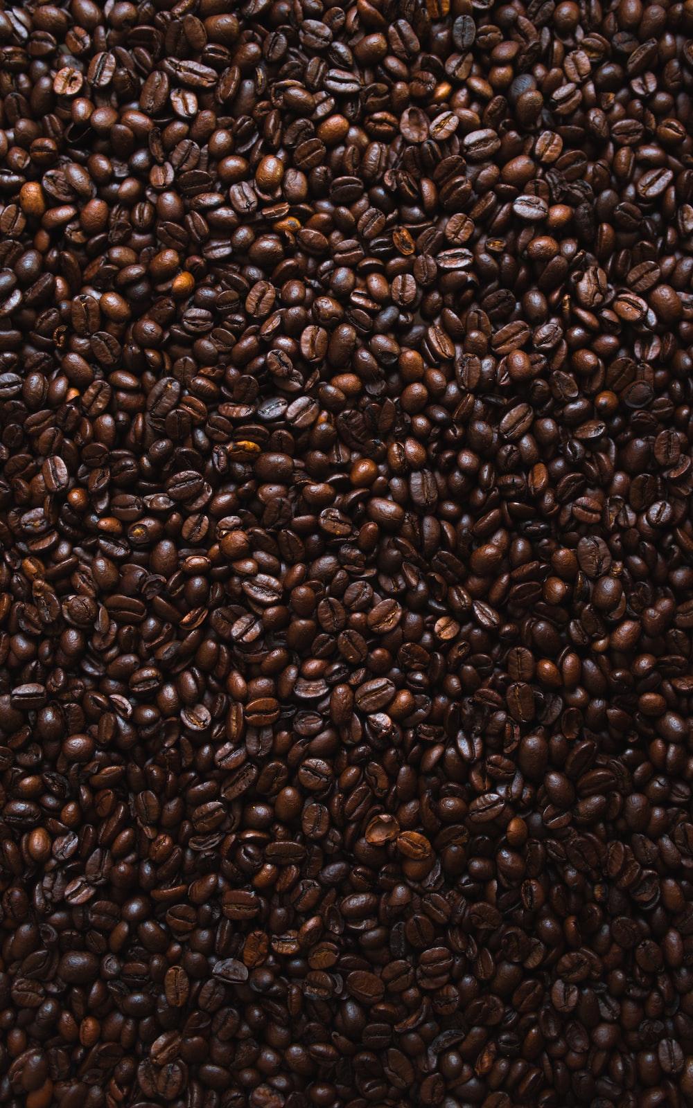 coffee bean wallpaper on gradient brown color background  illustration  Stock Illustration  Adobe Stock