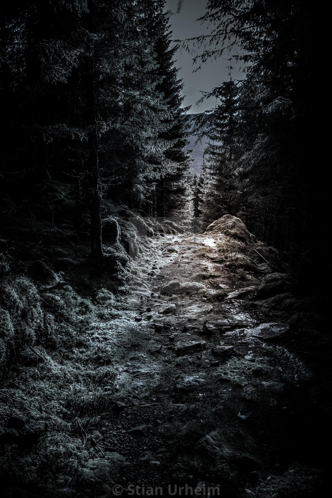 Dark Path Wallpapers - Top Free Dark Path Backgrounds - WallpaperAccess
