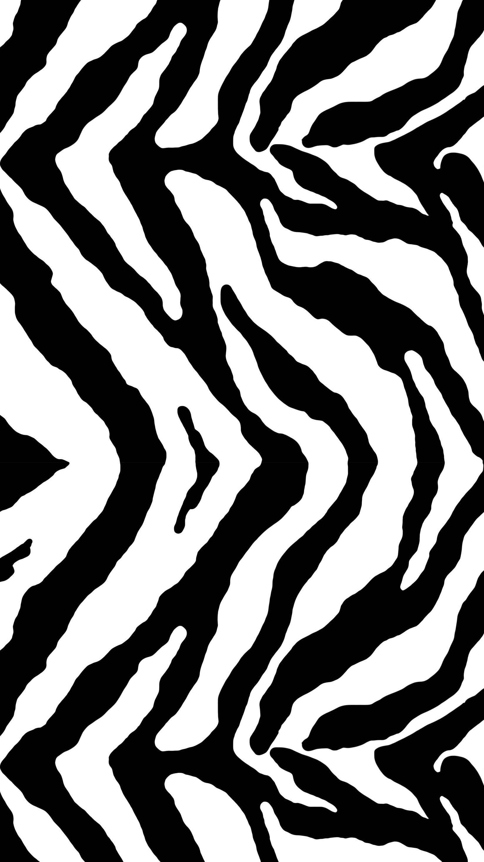 Zebra iPhone Wallpapers - Top Free Zebra iPhone Backgrounds ...