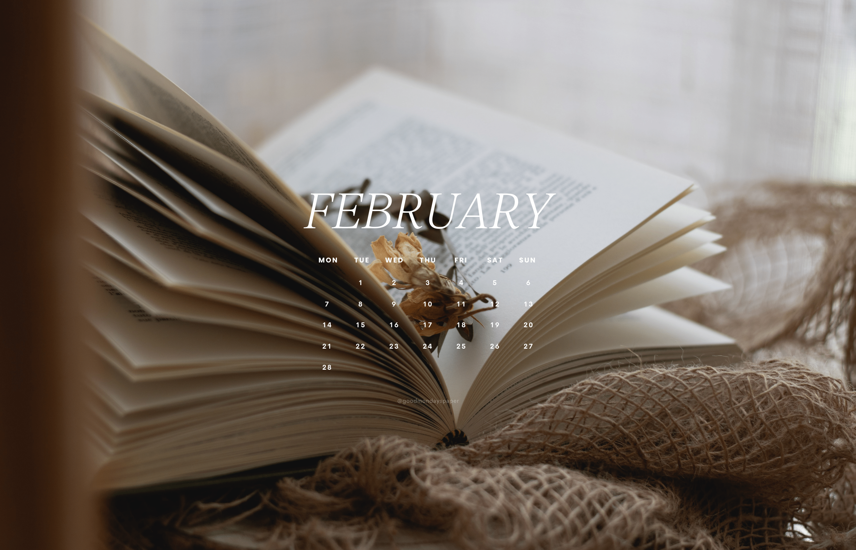 2800x1800 February 2022 Wallpaper
