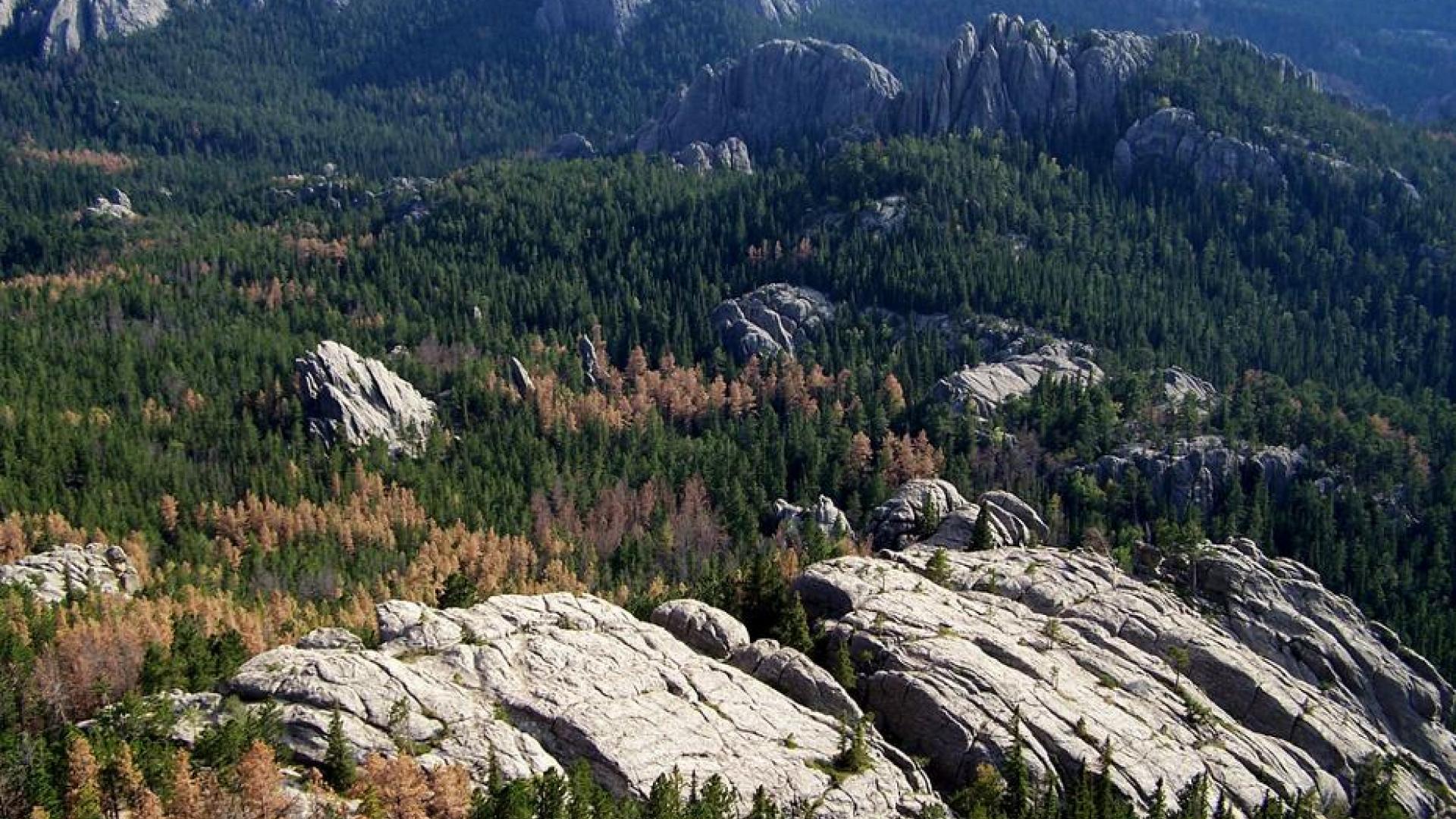 1920x1080 Free download black hills south dakota wallpaper 48690 HQ Desktop Wallpaper [1920x1080] for your Desktop, Mobile & Tablet. Explore Black Hills Desktop Wallpaper. Green Hills Wallpaper, Black on Black