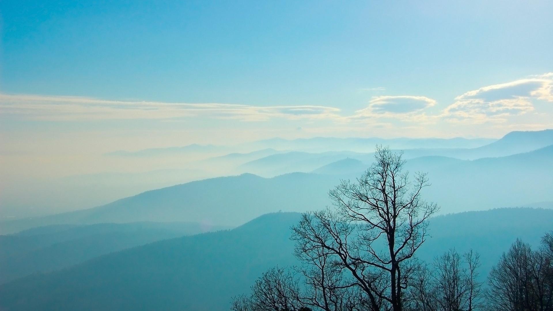 1920x1080 Blue Hills & Black Trees desktop PC and Mac wallpaper