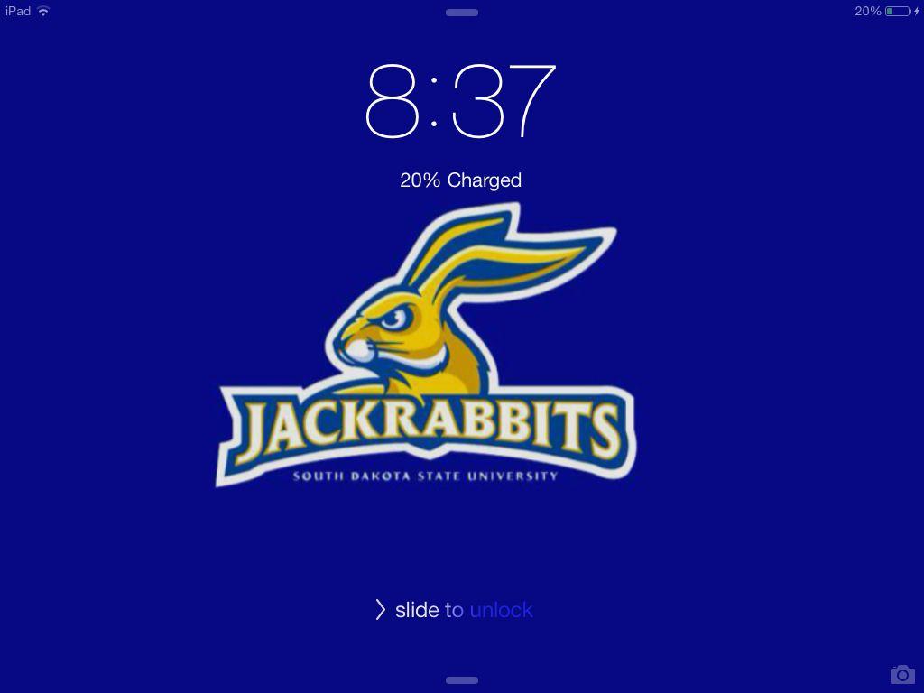 1024x768 Wallpaper jackrabbit. South dakota state, South dakota, Sport team logos