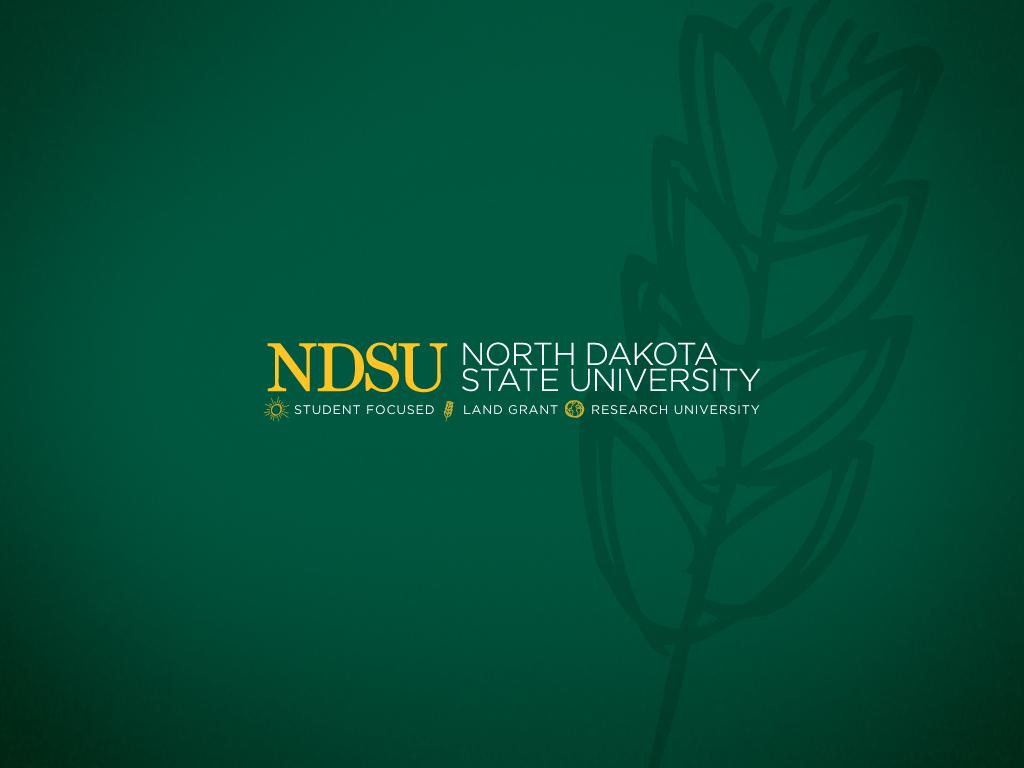 1024x768 Wallpaper
