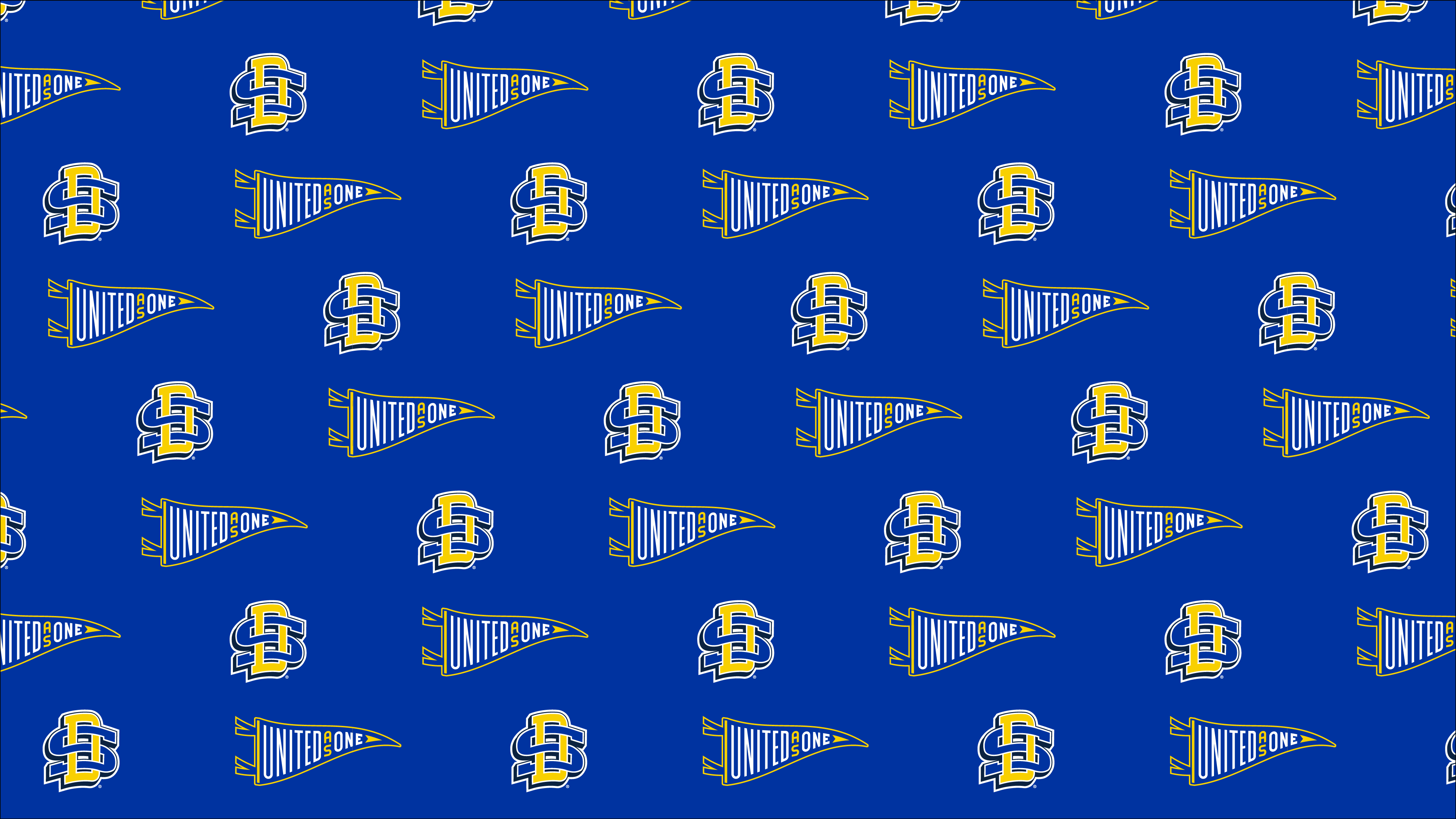 4001x2251 Zoom Background. South Dakota State University