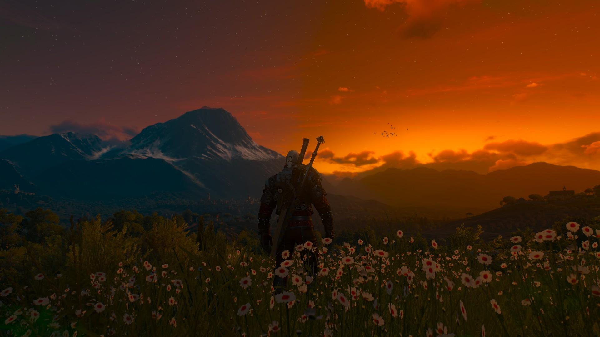 The Witcher Landscape Wallpapers Top Free The Witcher Landscape