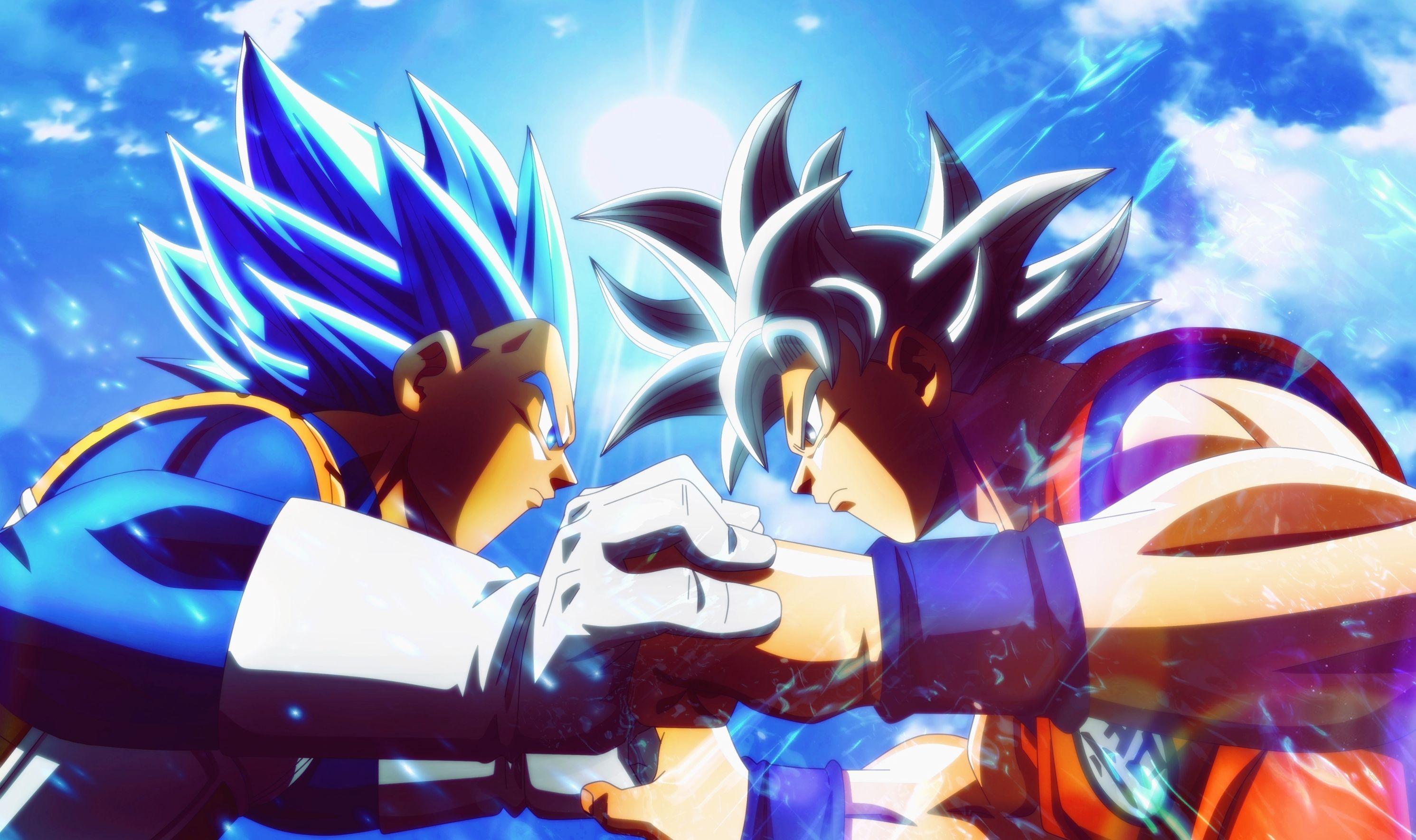 2982x1769 Goku And Vegeta 4k Desktop Wallpaper