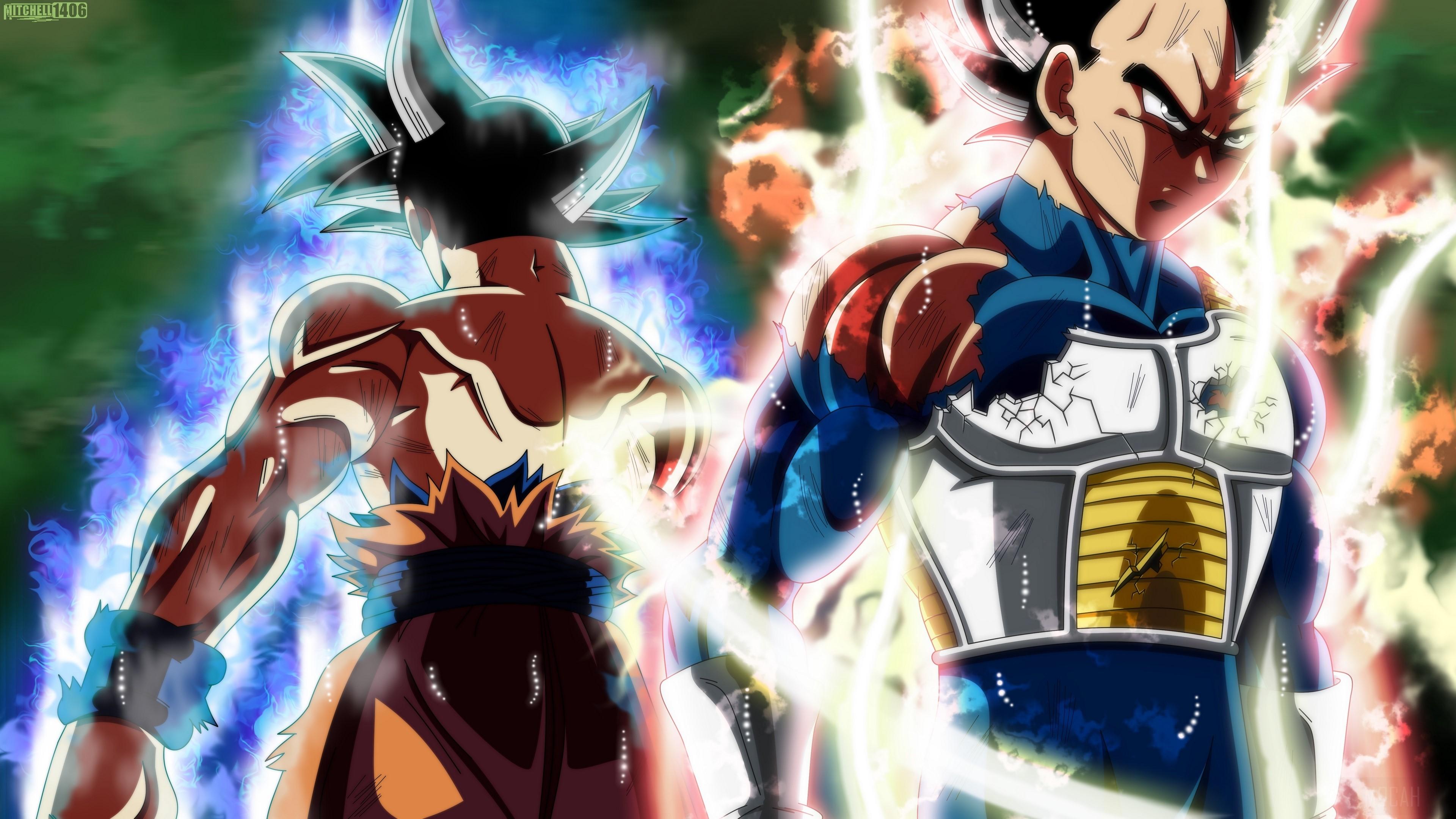 3840x2160 Dragon Ball Super, Goku, Ultra Instinct, Vegeta 4k Gallery HD Wallpaper
