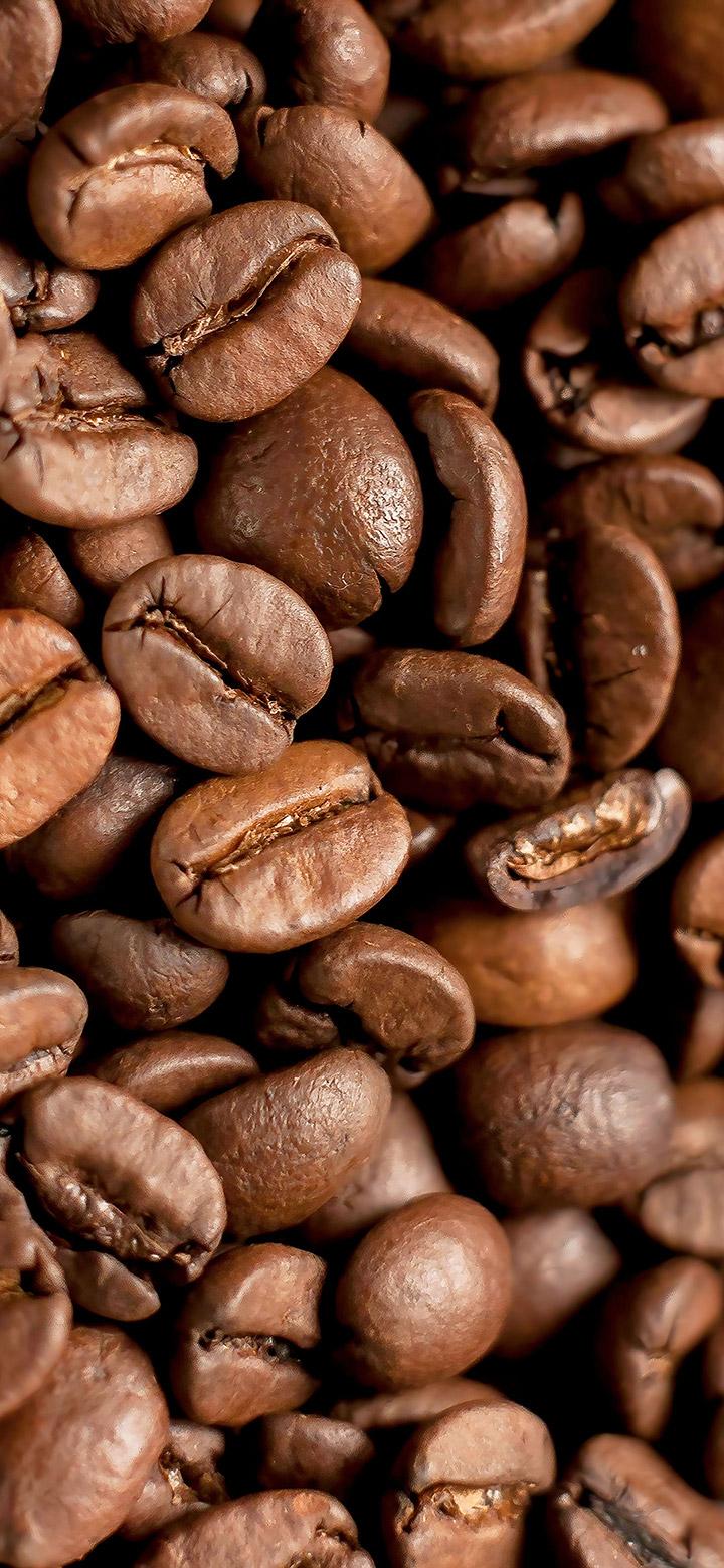 720x1560 Fresh Brown Coffee Beans 4K Wallpaper