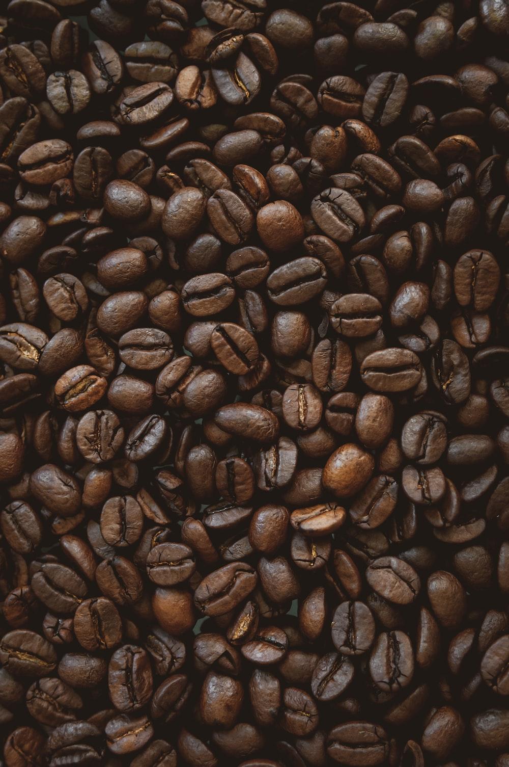 1000x1505 brown coffee beans on black surface photo