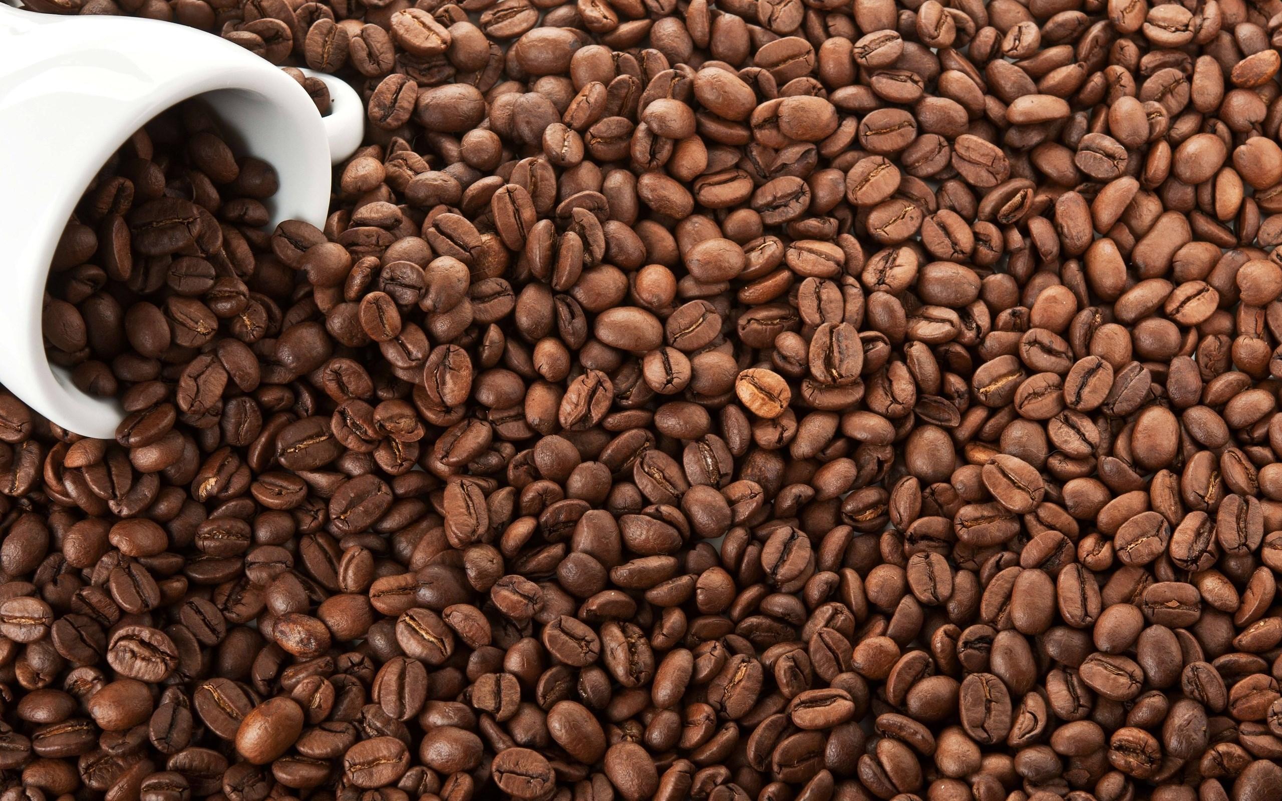 2560x1600 2560x1600 high resolution wallpaper widescreen coffee Gallery HD Wallpaper
