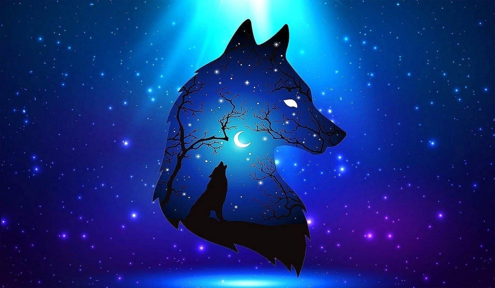 1600x933 Download Best Cool Fox Silhouette Wallpaper