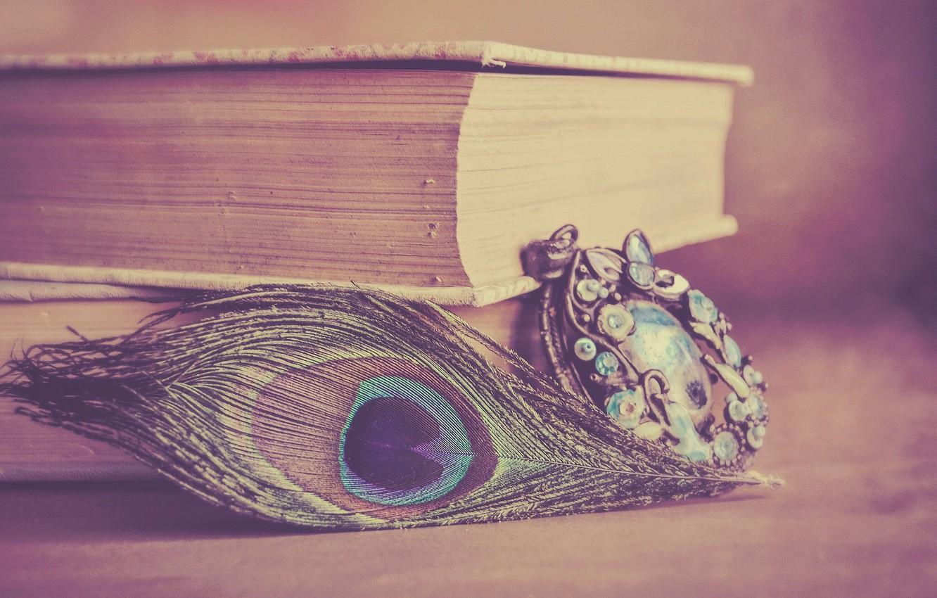 1332x850 Wallpaper style, pen, books, pendant, decoration, peacock feather image for desktop, section стиль