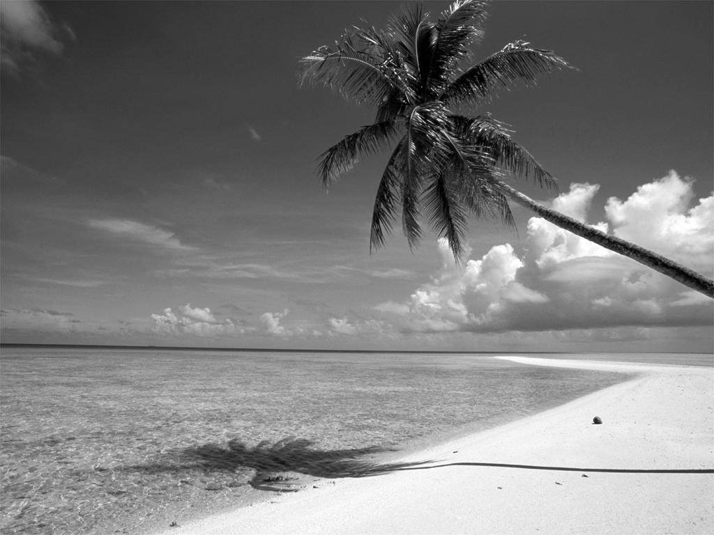 1024x768 Free download Free download Black and white most beautiful beach wallpaper [1024x768] for your Desktop, Mobile & Tablet. Explore Black and White Beach Desktop Wallpaper. Wallpaper Black And White