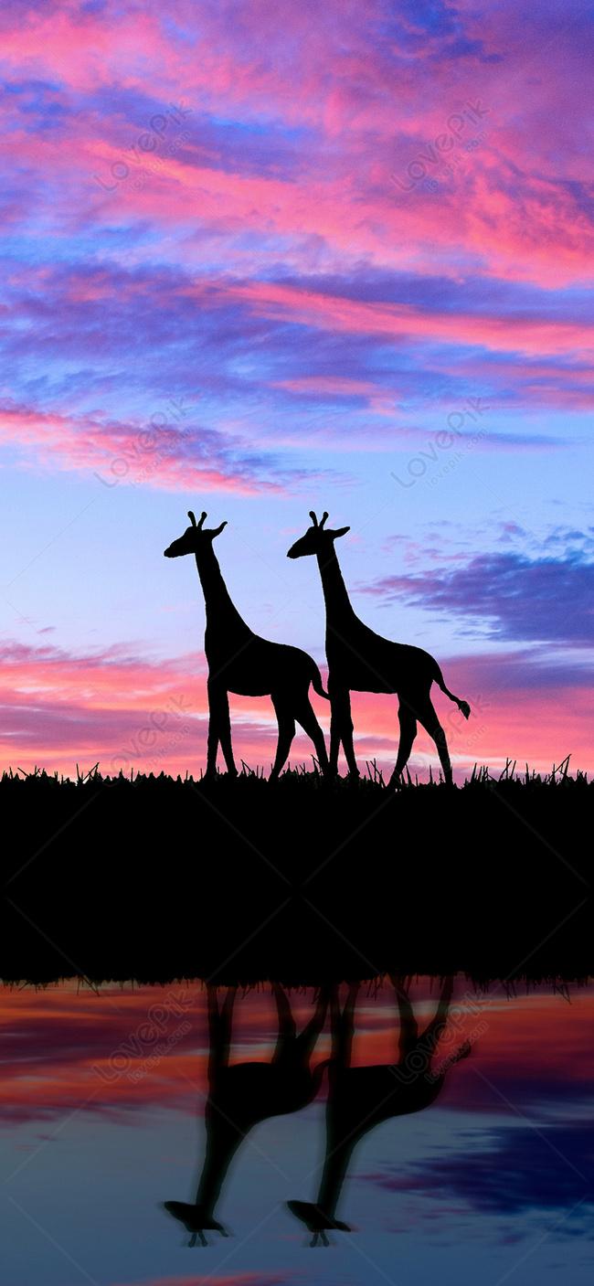 650x1407 Deer Silhouette Mobile Wallpaper Image Free Download