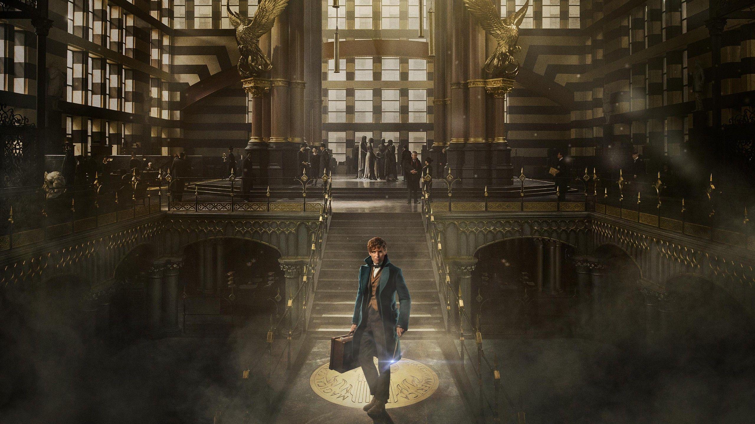 2560x1440 Wallpaper Fantastic Beasts And Where To Find Them, Eddie Redmayne