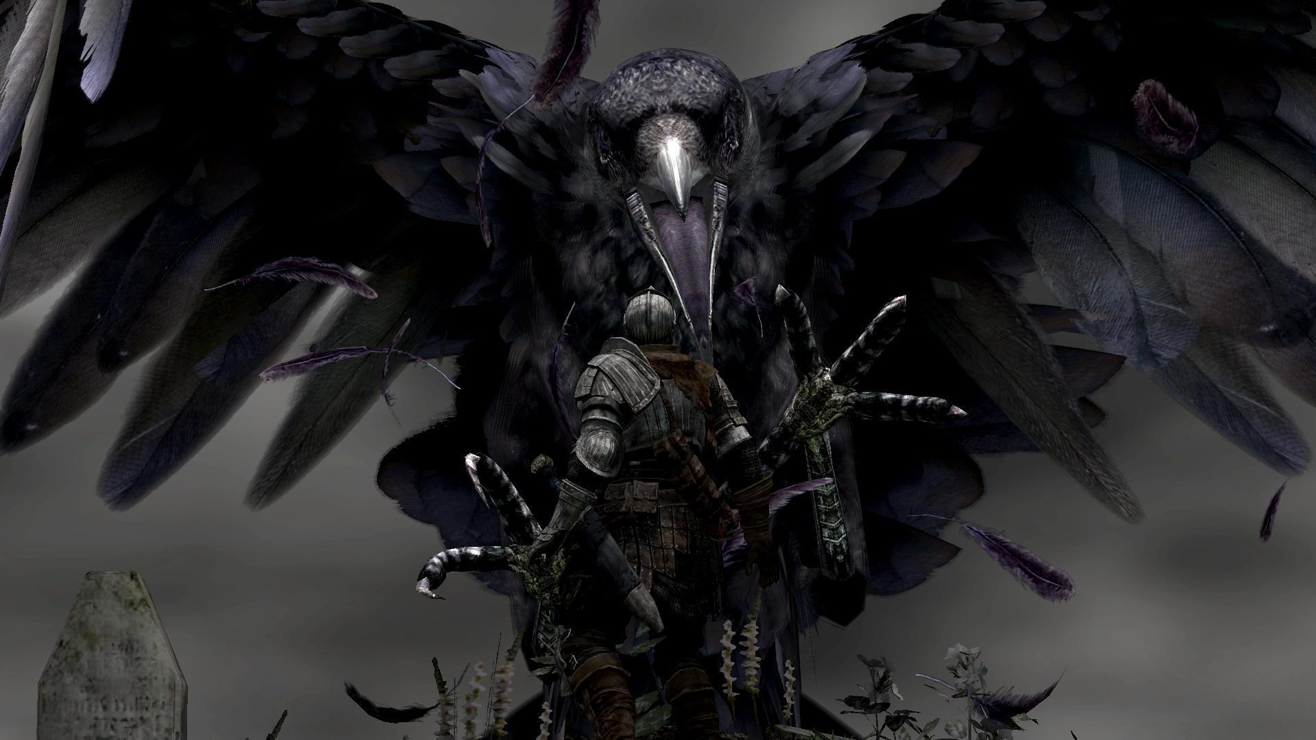 1920x1080 Free Download Raven HD Wallpaper