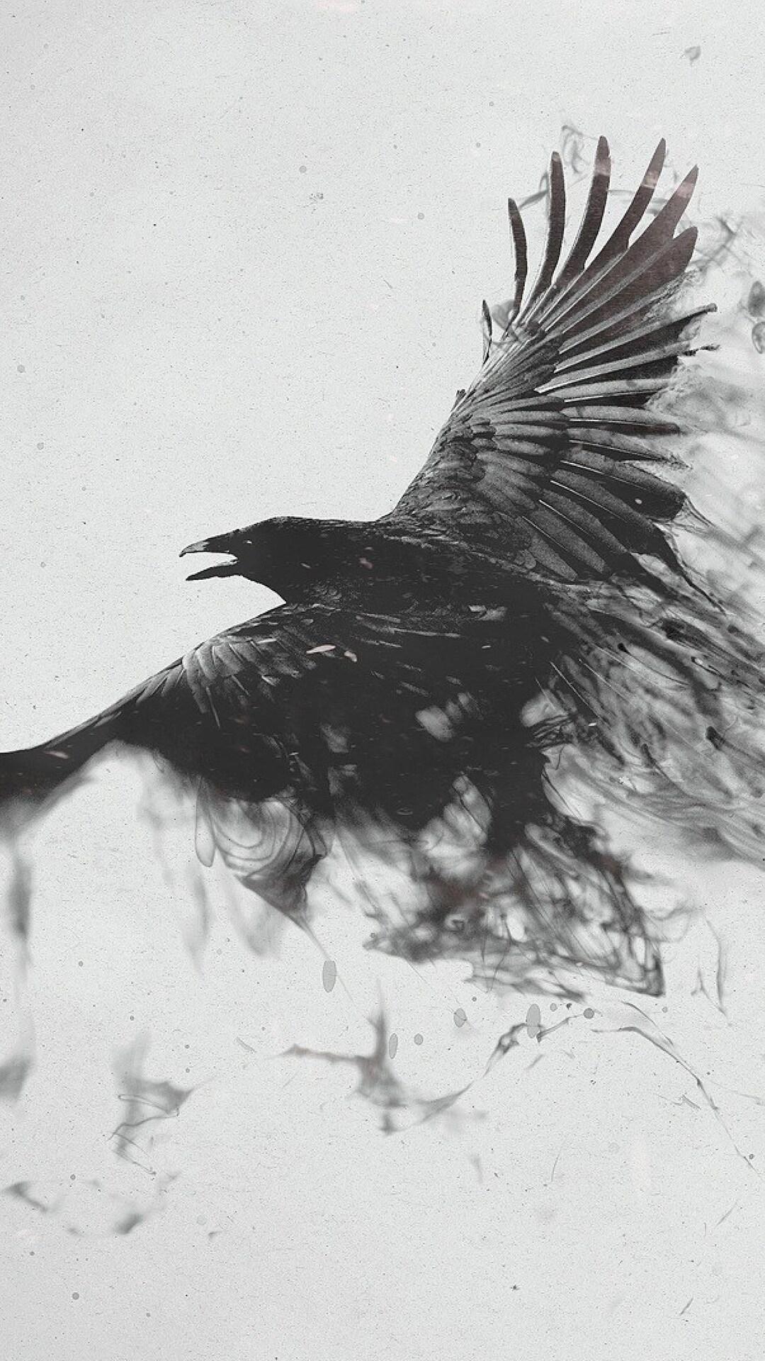1080x1920 Raven Bird Art iPhone 6s, 6 Plus, Pixel xl , One Plus 3t, 5 HD 4k Wallpaper, Image, Background, Photo and Picture