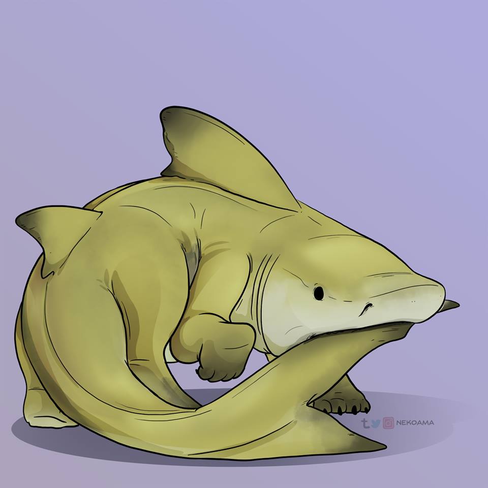 960x960 Baby Shark Dance Cute Background Wallpaper Photo Hd (22)