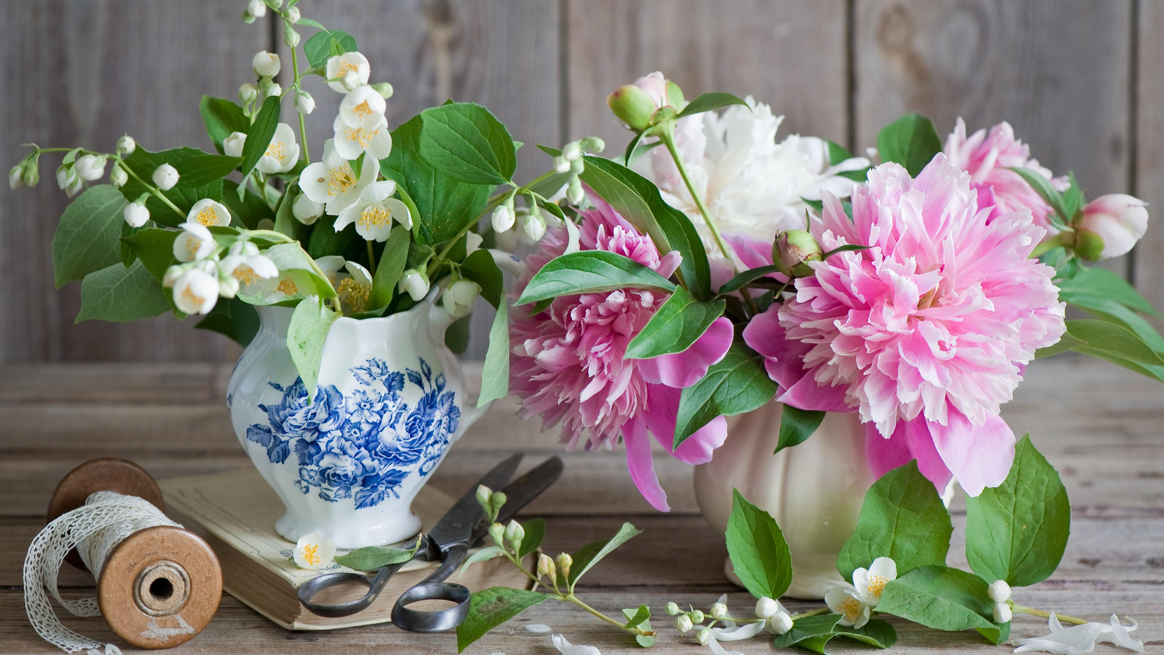 3840x2160 Wallpaper peonies, 5k, 4k wallpaper, jasmine, scissors, vase, ribbon, Nature