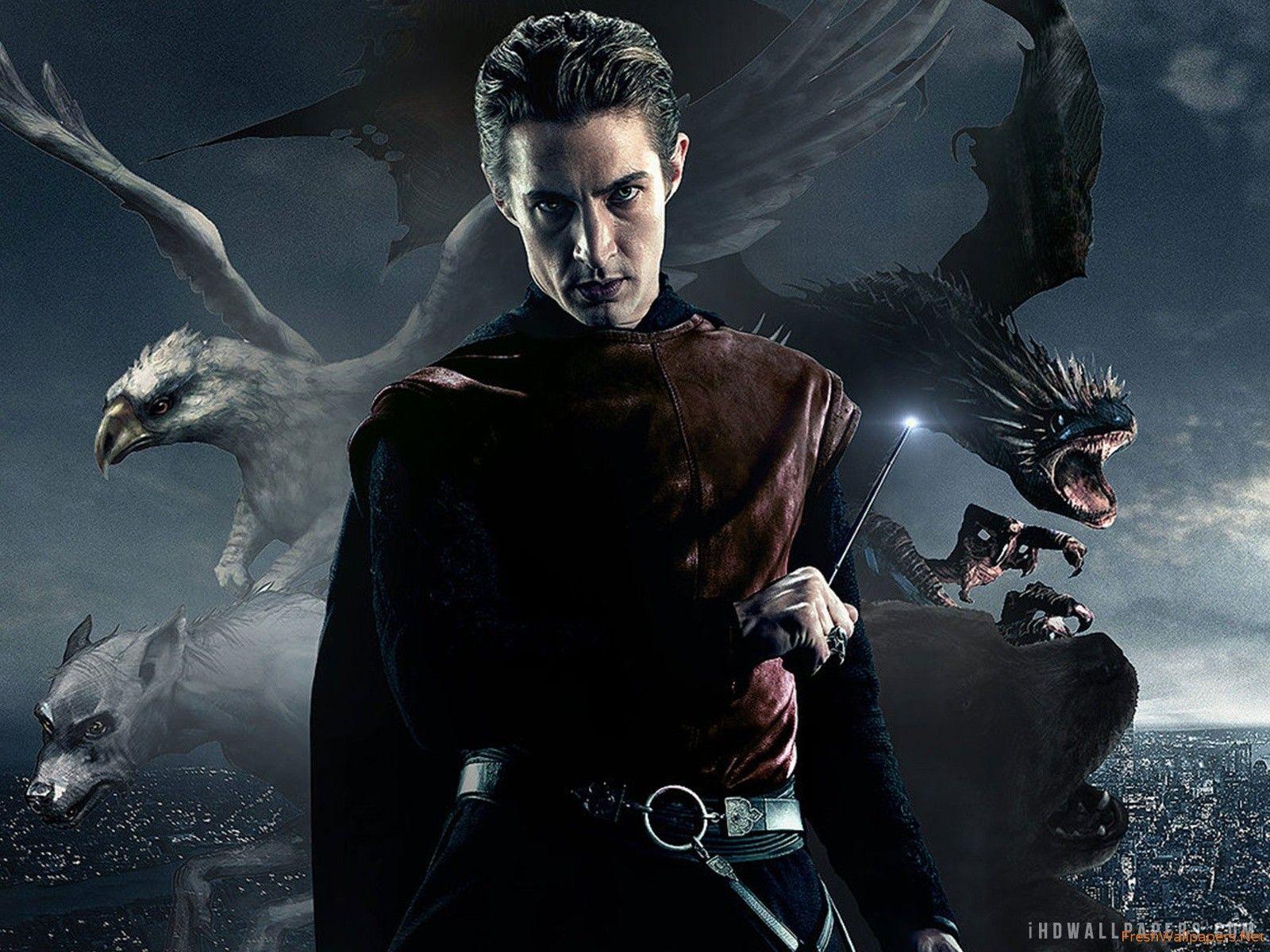 Fantastic Beasts Wallpapers Top Free Fantastic Beasts Backgrounds Wallpaperaccess