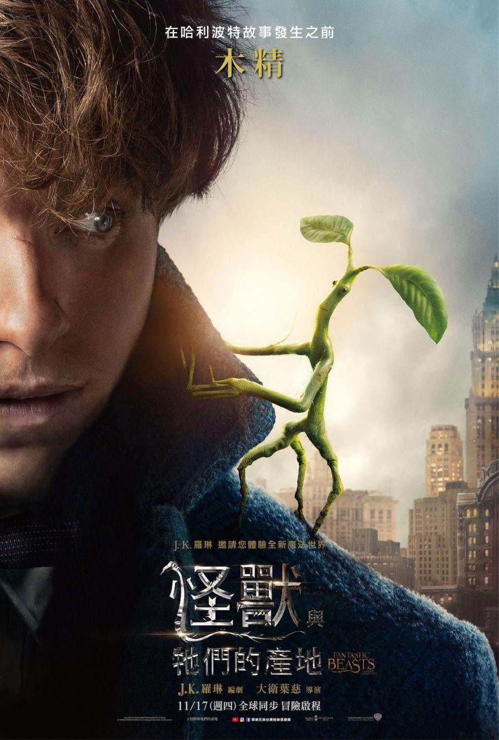 1012x1500 Fantastic Beasts and Where to Find Them(2016) HD Wallpaper From
