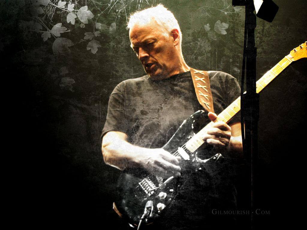 1024x768 David Gilmour Wallpaper Hd Wallpaper Base