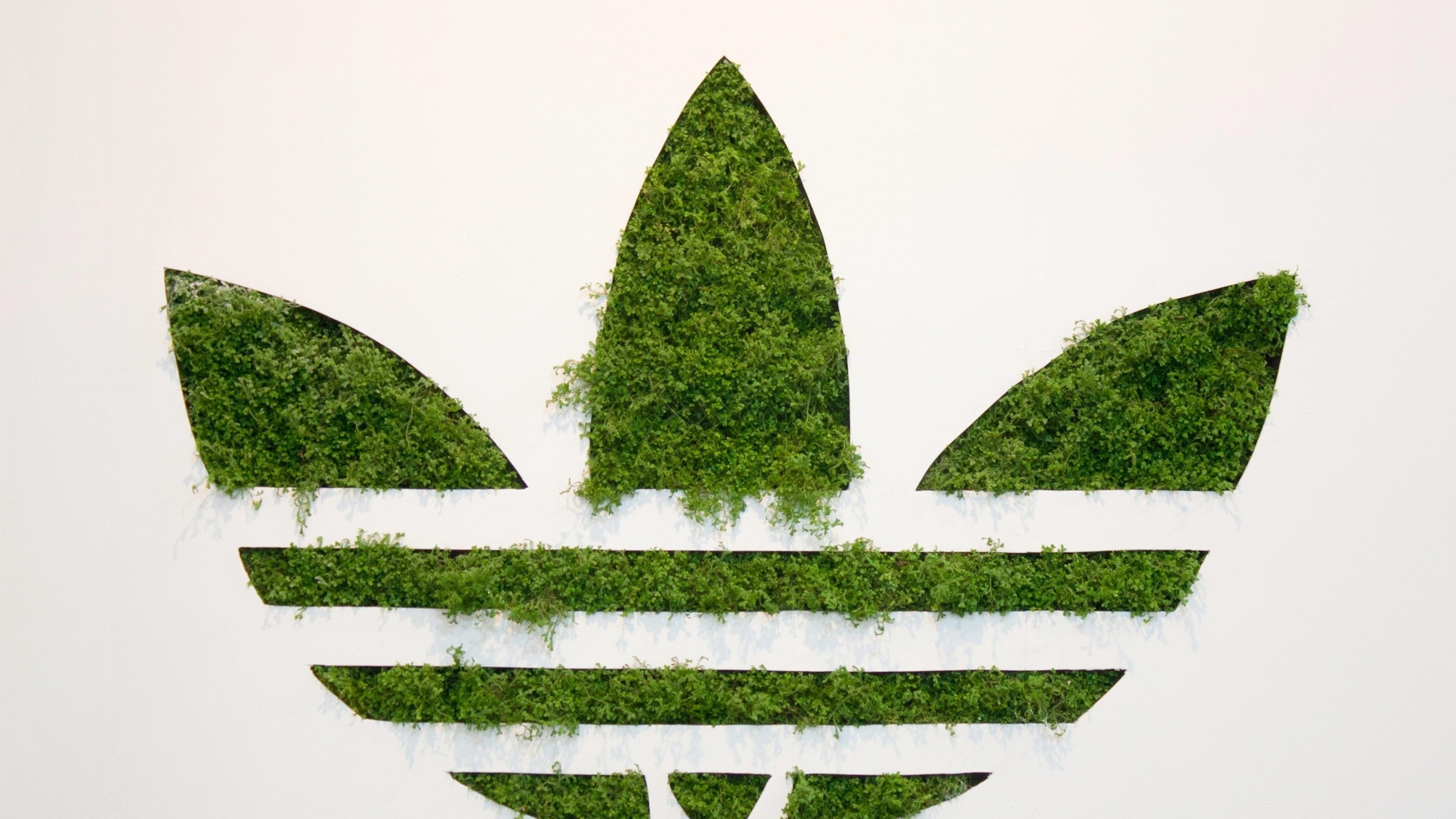 3840x2160 3840x2160 adidas 4k HD desktop background Gallery HD Wallpaper