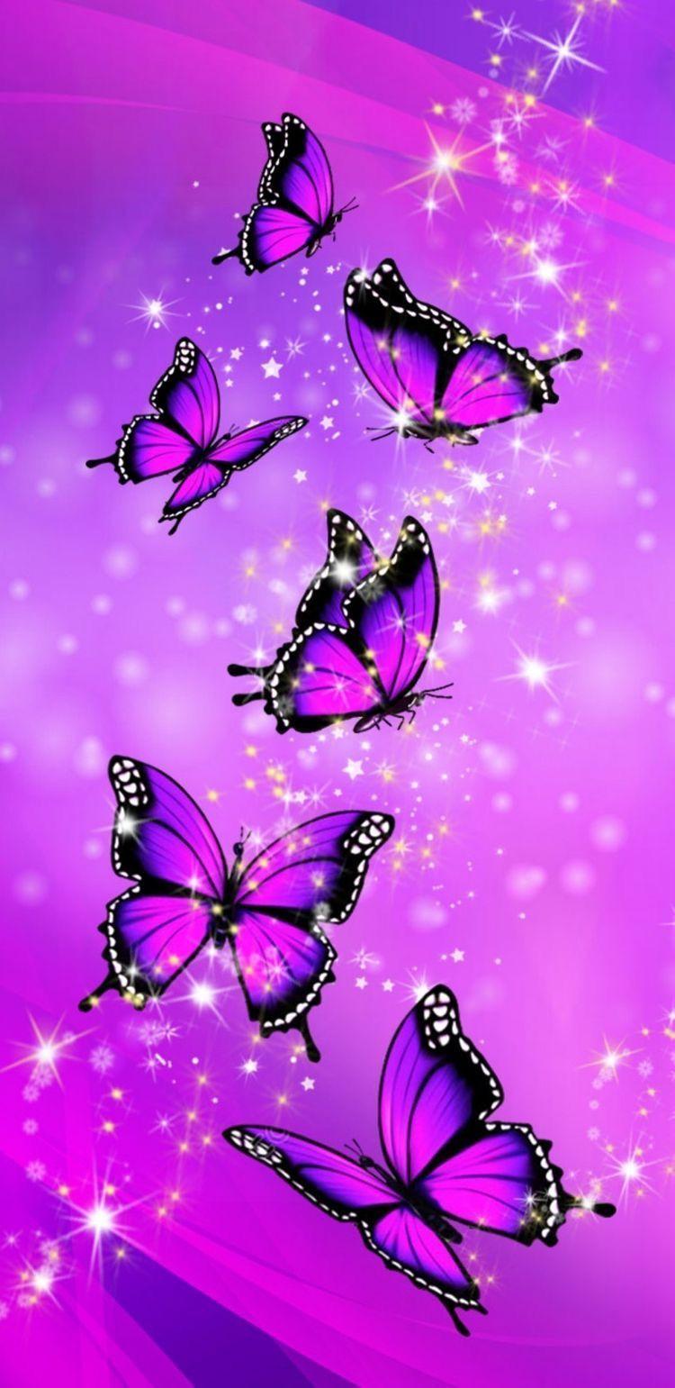 black and purple butterfly