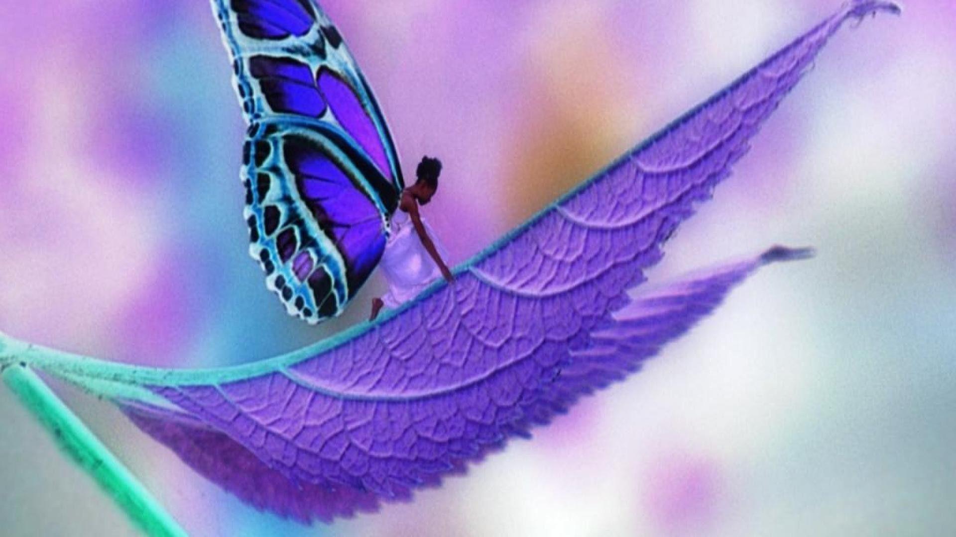 light purple butterfly wallpaper
